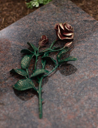 Thumbnail for Rose Bronze groß grün mit roten Blüten