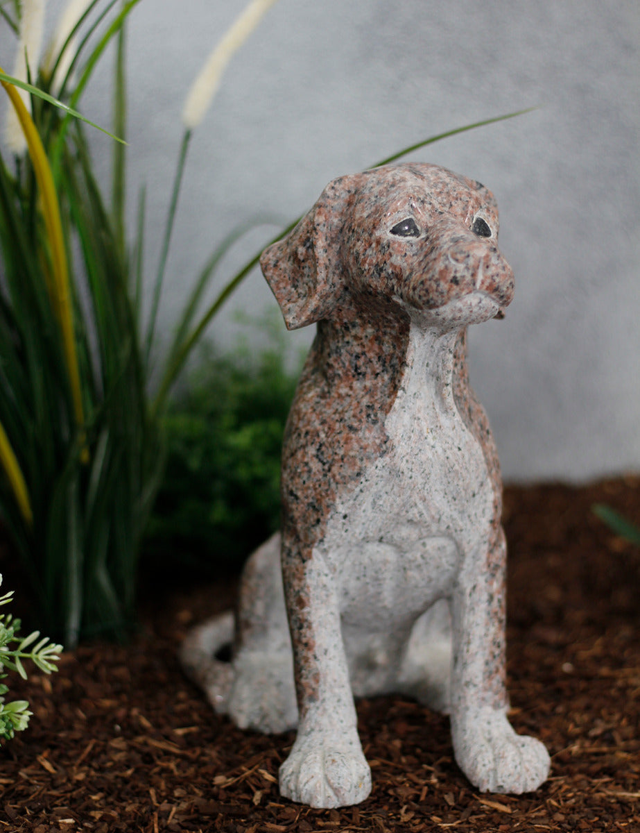 Hund Granit rot