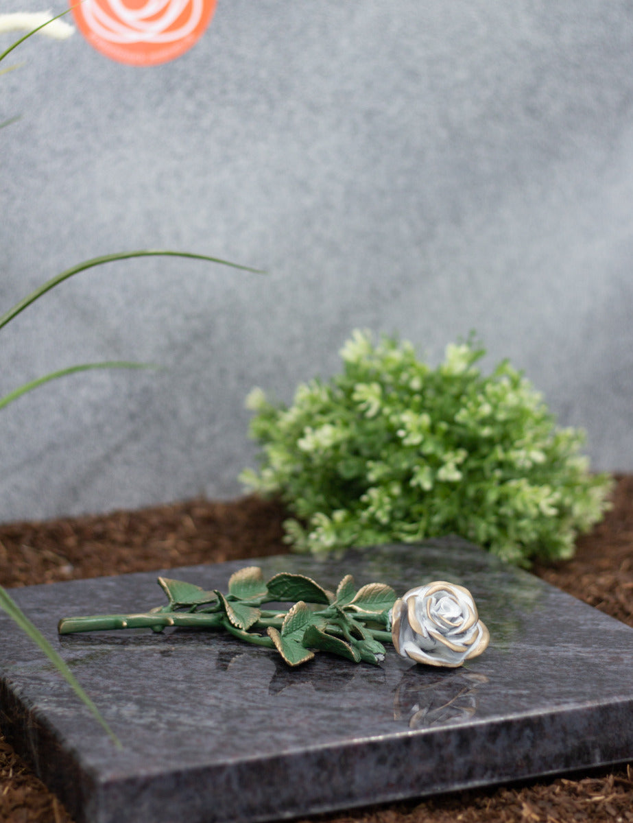 Rose Bronze groß grün mit weißen Blüten