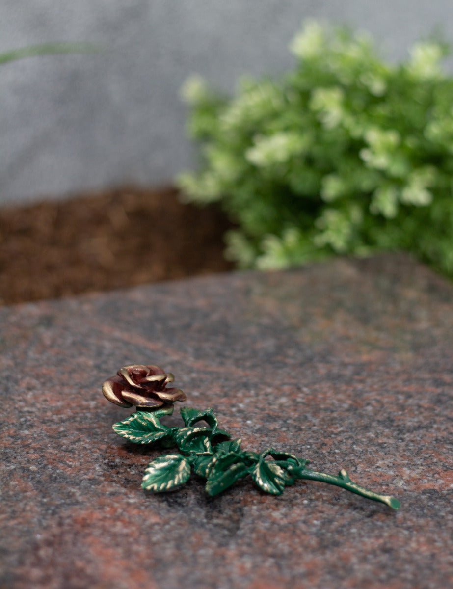 Rose Bronze klein grün mit roter Blüte